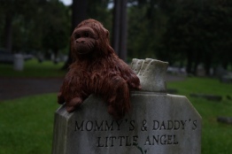 A child's grave and stuffed animal.